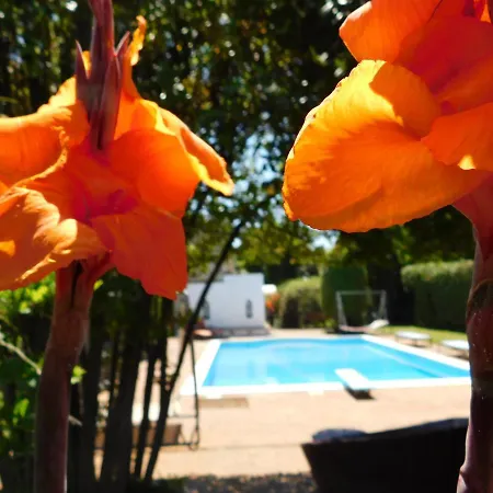 Con Piscina Immersa Nel *