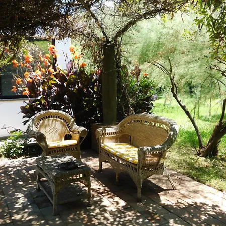 Con Piscina Immersa Nel * Cascina (Pisa)